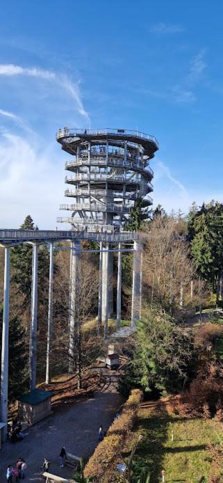 Pools, Sauna Und Balkon Mit Panoramablick Sankt Englmar Kültér fotó
